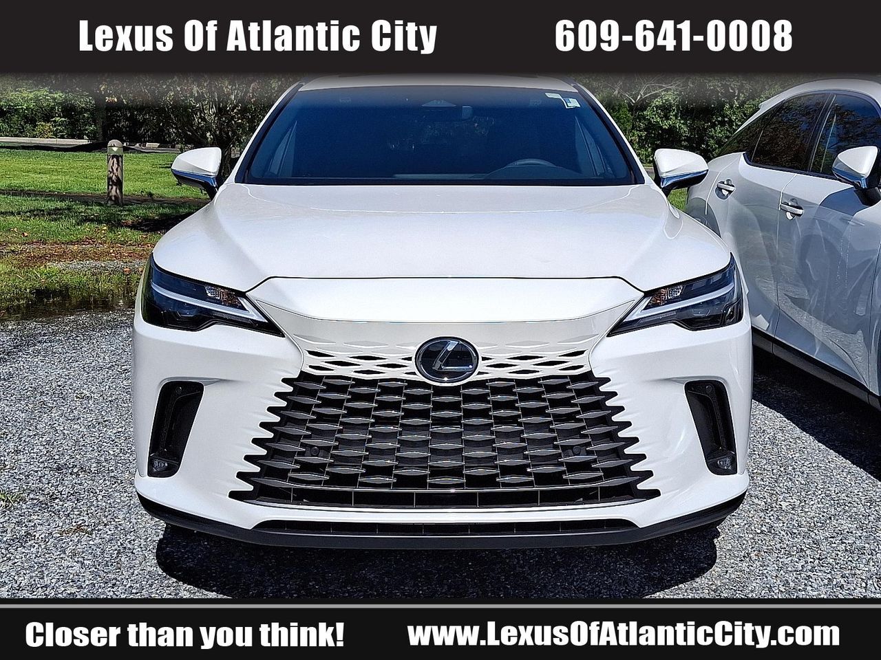 2025 Lexus RX 350h Premium photo 2