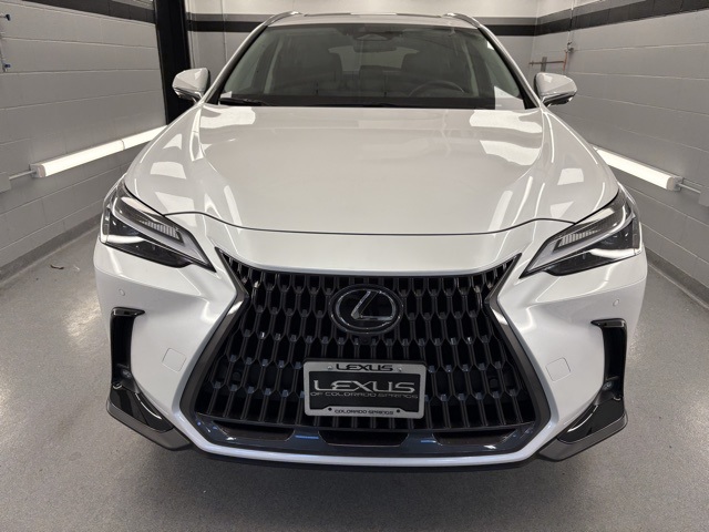 2025 Lexus NX Premium photo 2