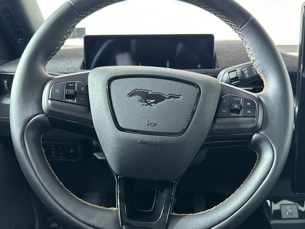 2023 Ford Mustang Mach-E GT photo 22