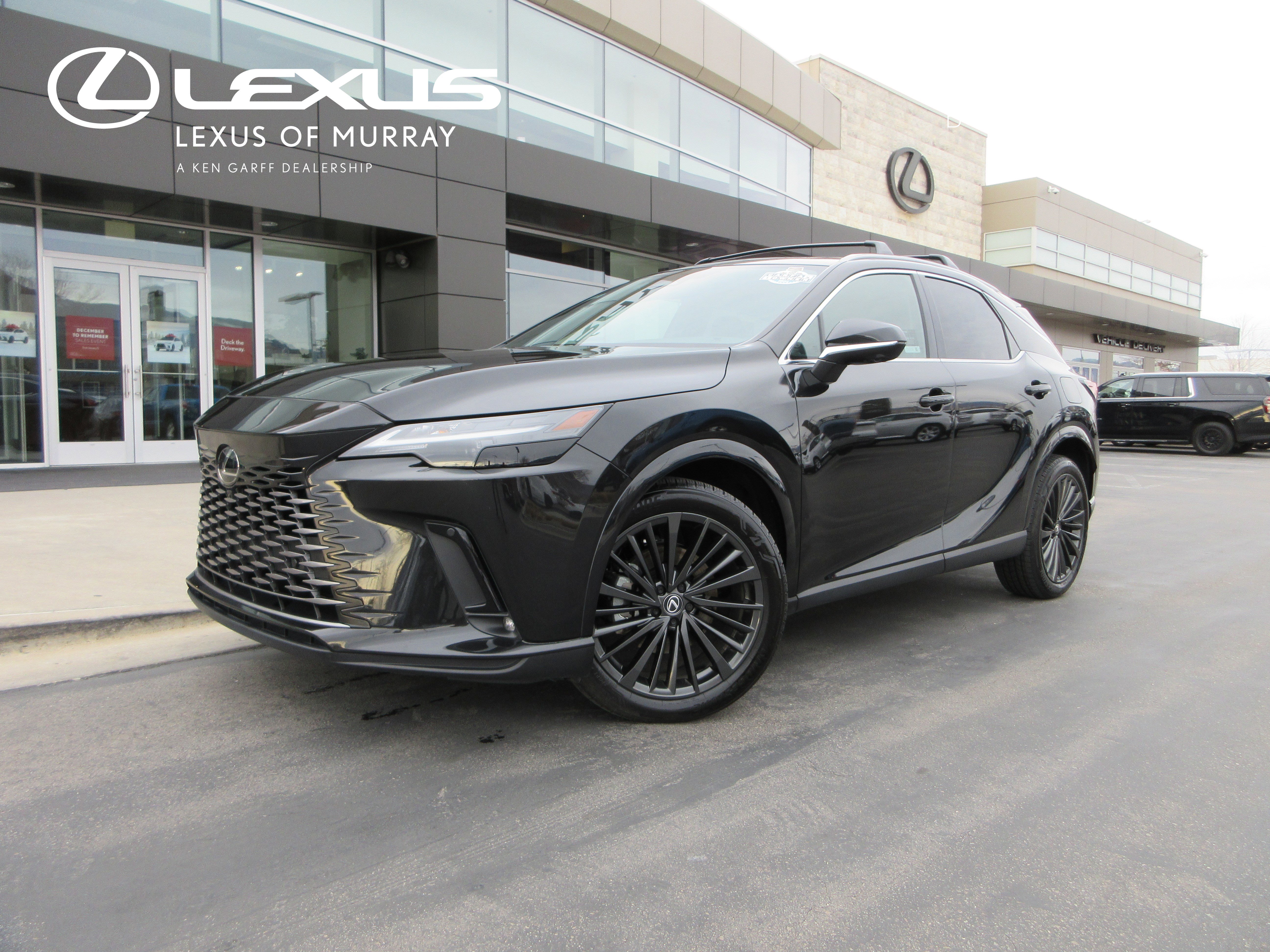 2025 Lexus RX Hybrid 350h's photo