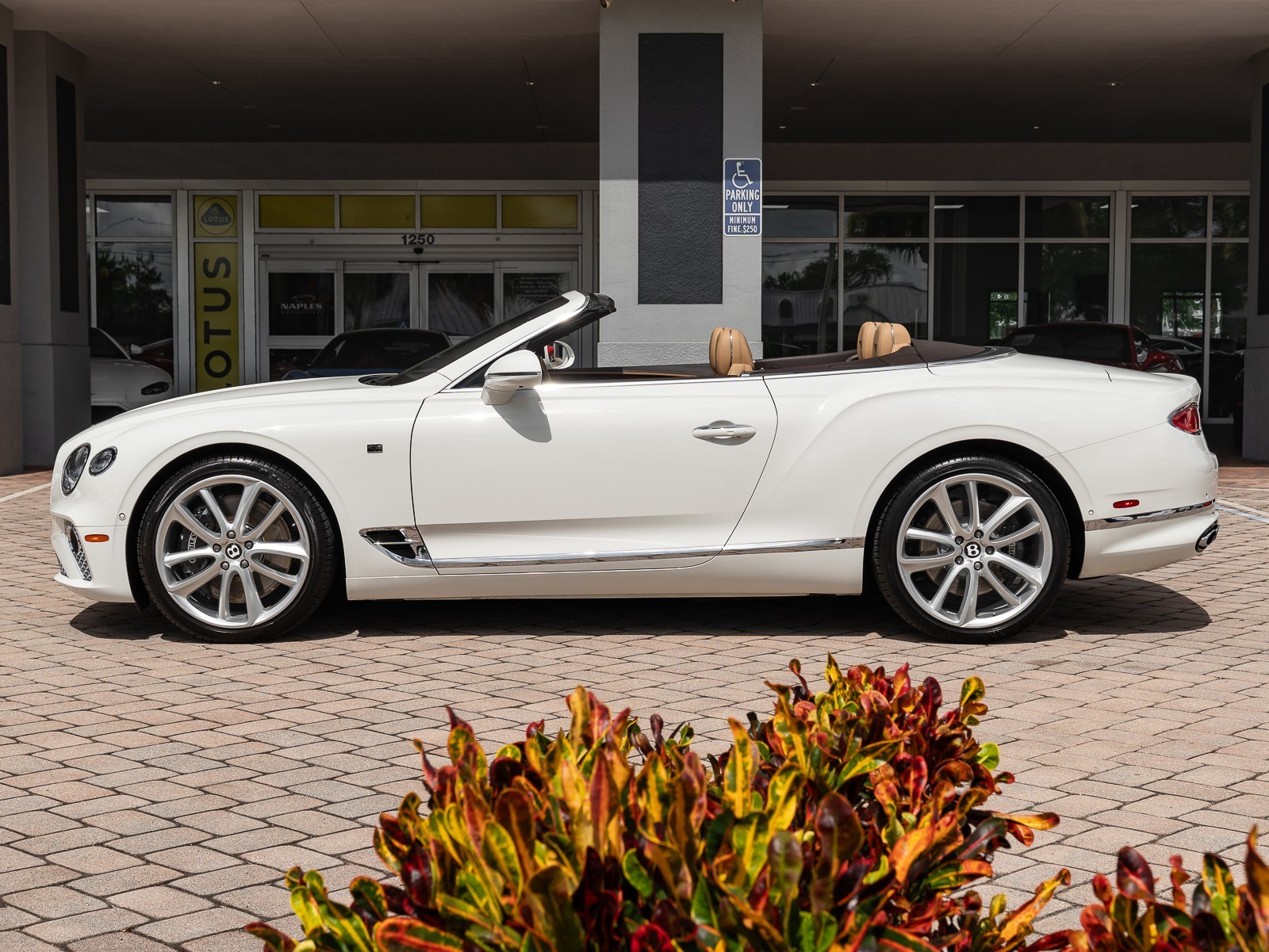 2020 Bentley Continental GTC GT V8 photo 7