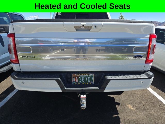 2021 Ford F-150 Platinum photo 3