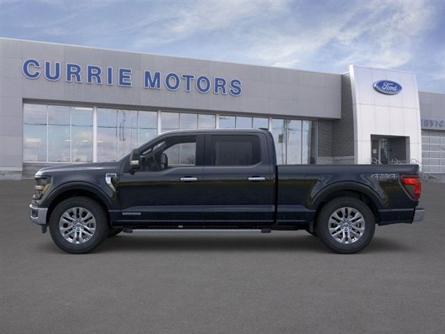 2025 Ford F-150 XLT photo 3