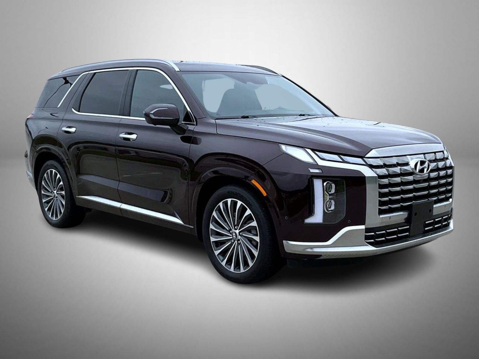 2025 Hyundai Palisade Calligraphy photo 3