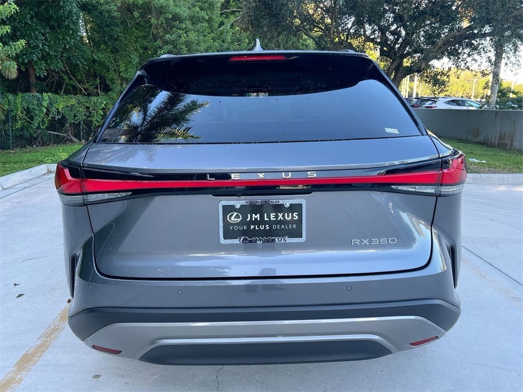 2023 Lexus RX 350 photo 6
