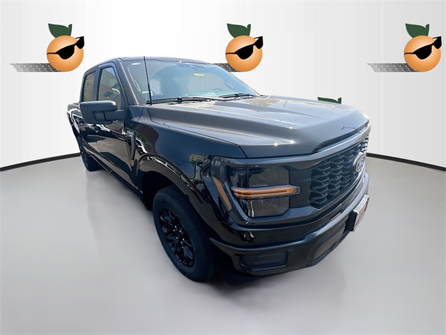 2025 Ford F-150 STX's photo