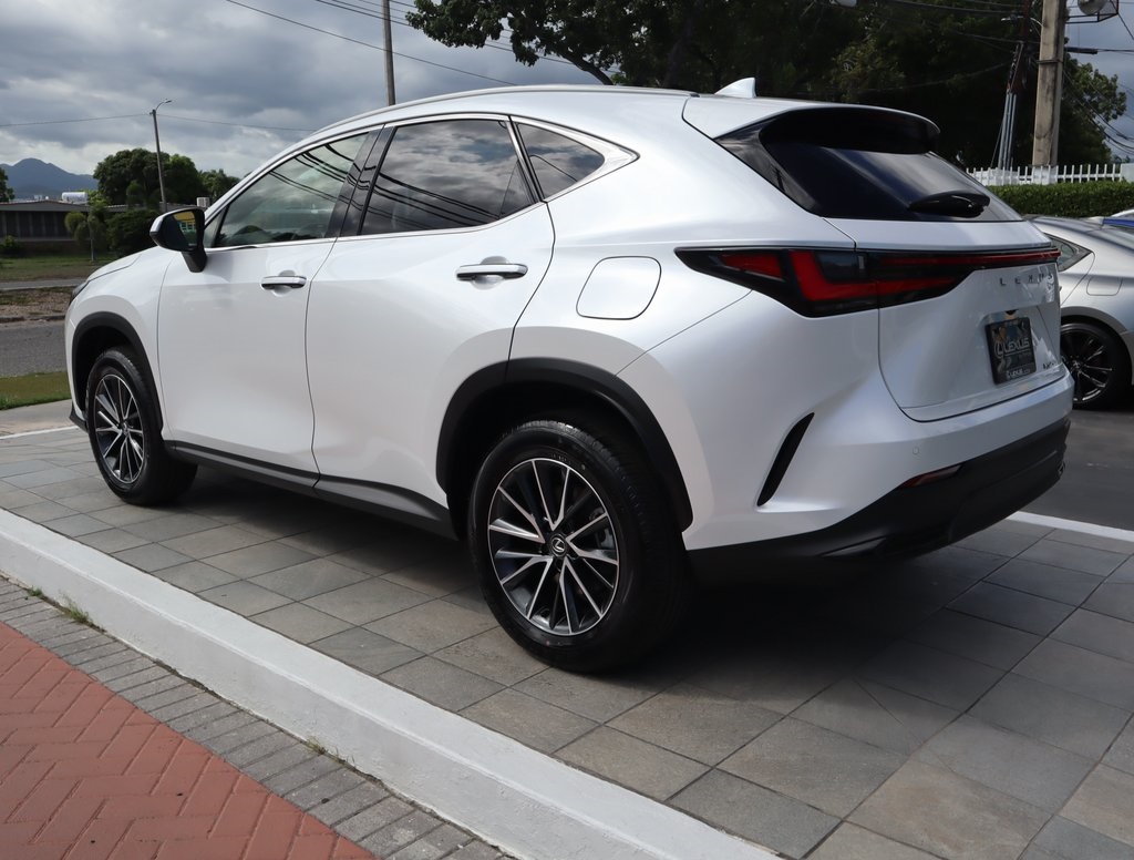 2025 Lexus NX 250 photo 6