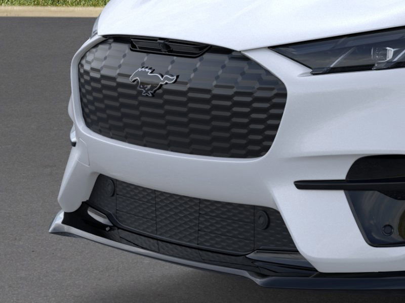 2025 Ford Mustang Mach-E GT photo 13