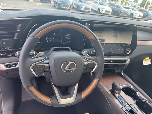 2025 Lexus RX 350 Luxury photo 32