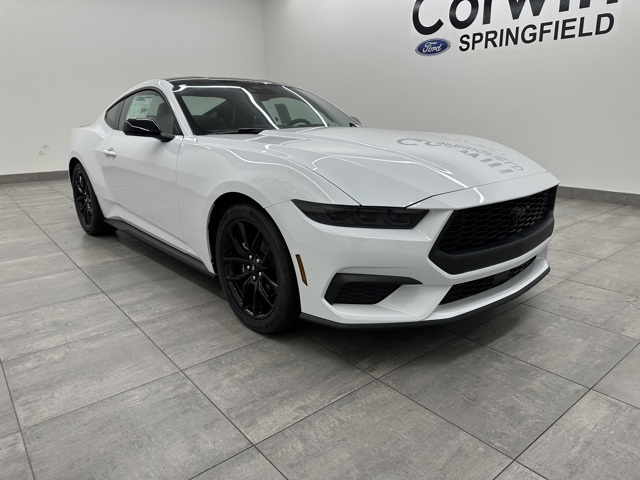 2025 Ford Mustang EcoBoost photo 4