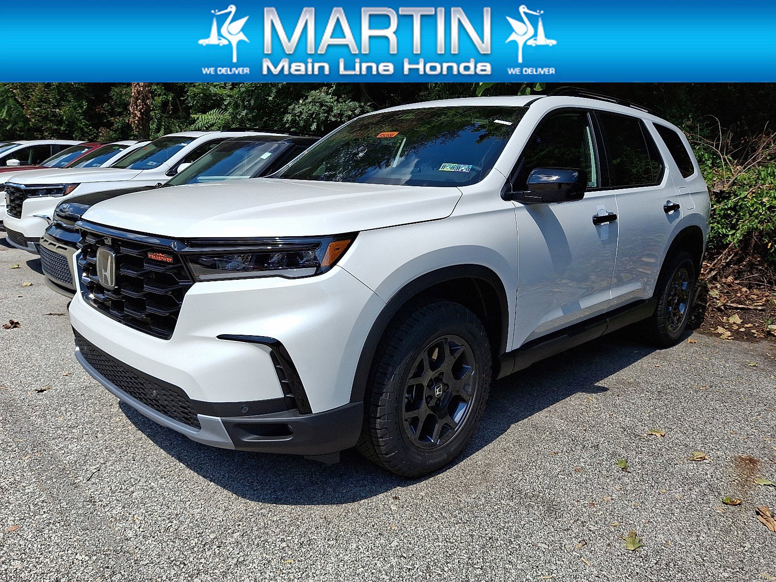 2025 Honda Pilot TrailSport's photo
