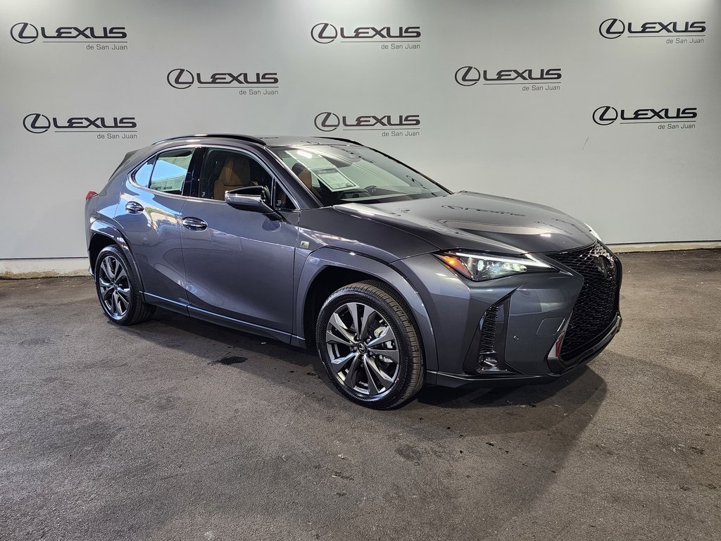 2025 Lexus UX photo 3