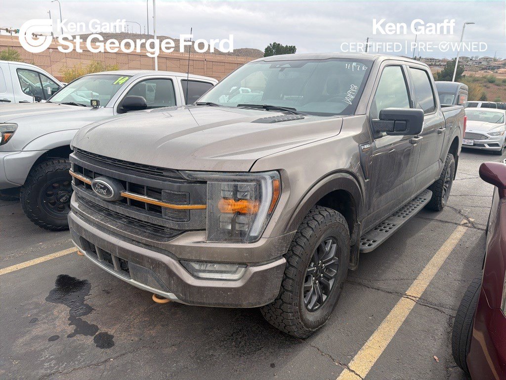 2023 Ford F-150 Tremor's photo