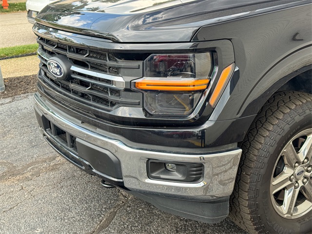 2024 Ford F-150 XLT photo 42