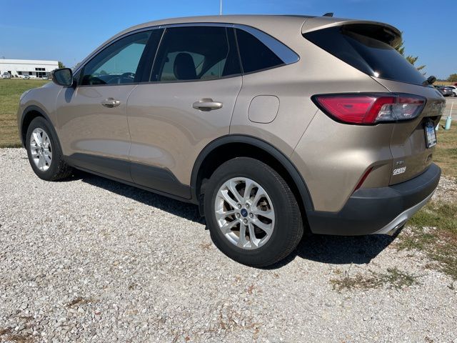 2021 Ford Escape SE Hybrid photo 2