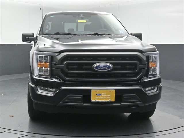2023 FORD F-150 - Image 2