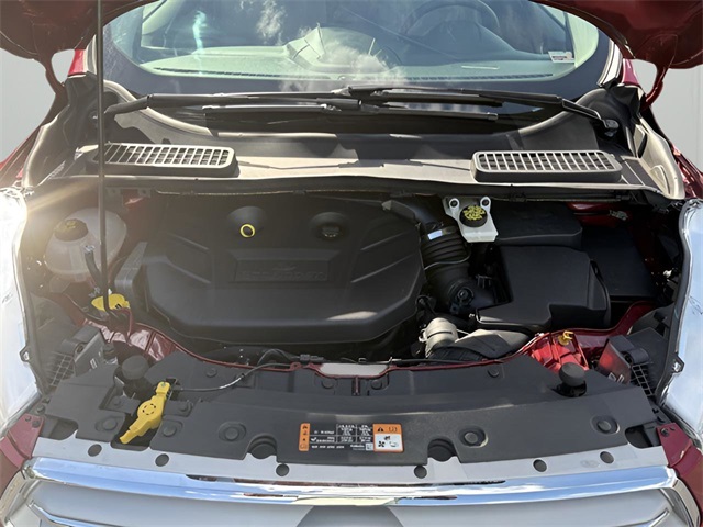 2019 Ford Escape Titanium photo 9