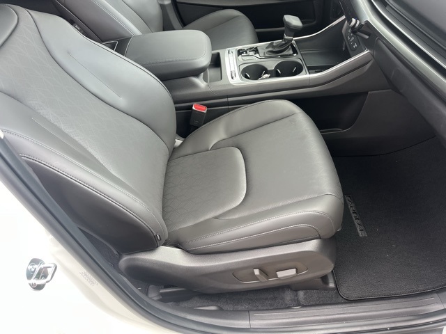 2026 Kia Carnival SX photo 14