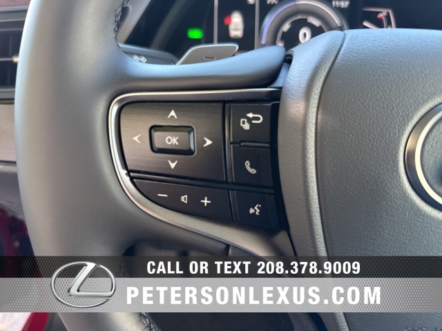 2025 Lexus ES 300h photo 23