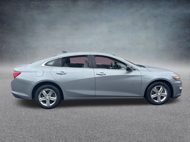 2023 Chevrolet Malibu LS photo 3