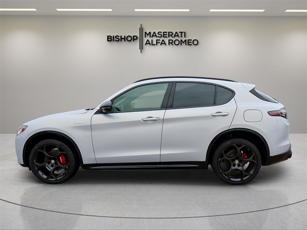 2025 Alfa Romeo Stelvio Base photo 4