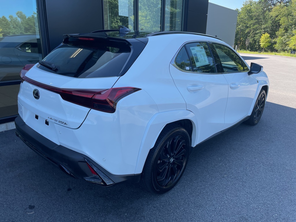 2024 Lexus UX 250h F SPORT Design photo 4