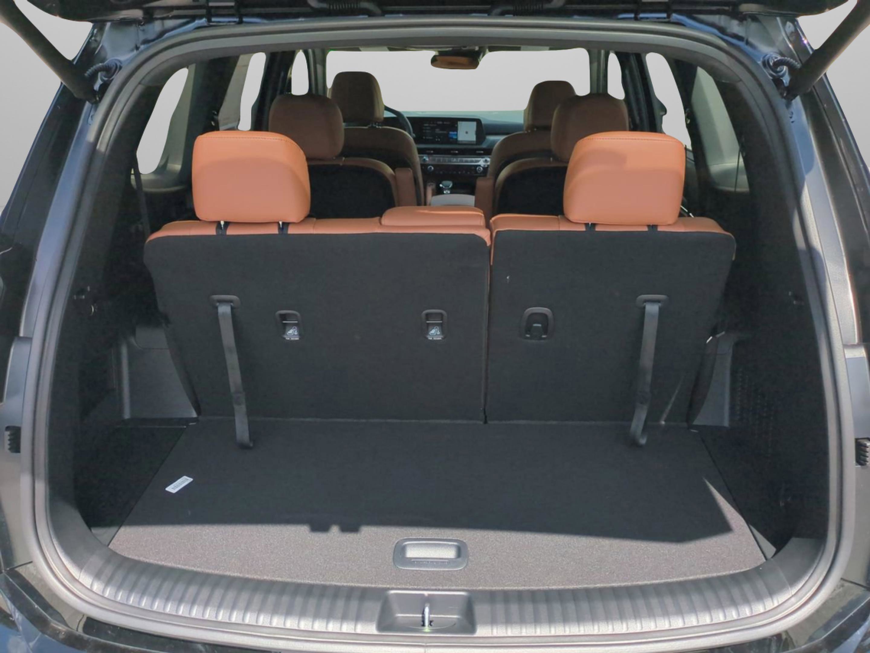 2025 Kia Telluride EX X-Line photo 30