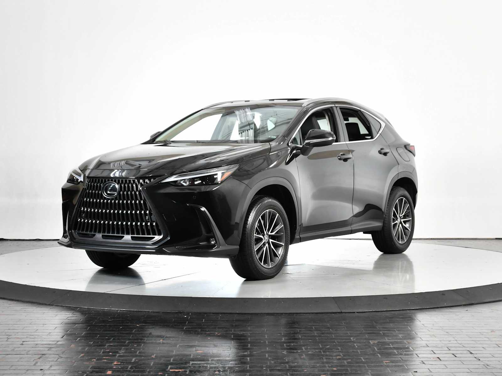 2025 Lexus NX Base's photo