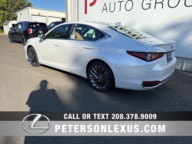 2025 Lexus ES 300h Luxury photo 5