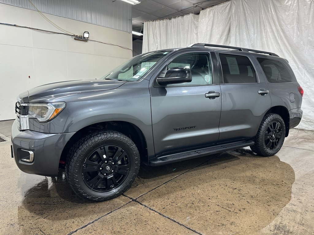2019 Toyota Sequoia SR5 photo 9