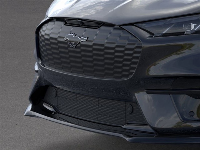 2025 Ford Mustang Mach-E GT photo 14