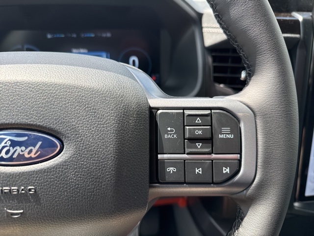 2025 Ford F-150 Lightning photo 30