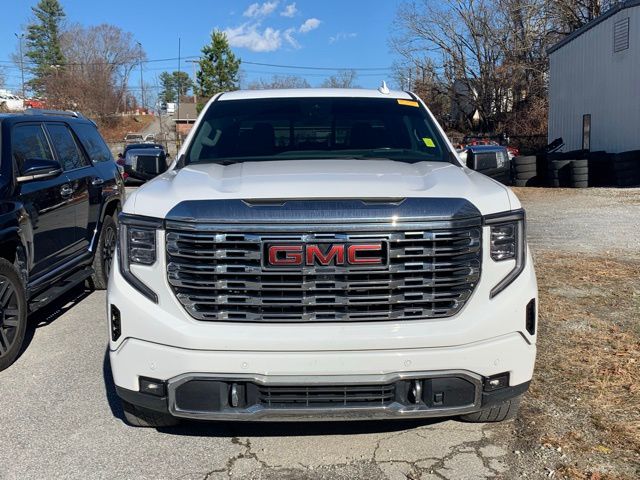 2023 Gmc Sierra 1500 Denali photo 3