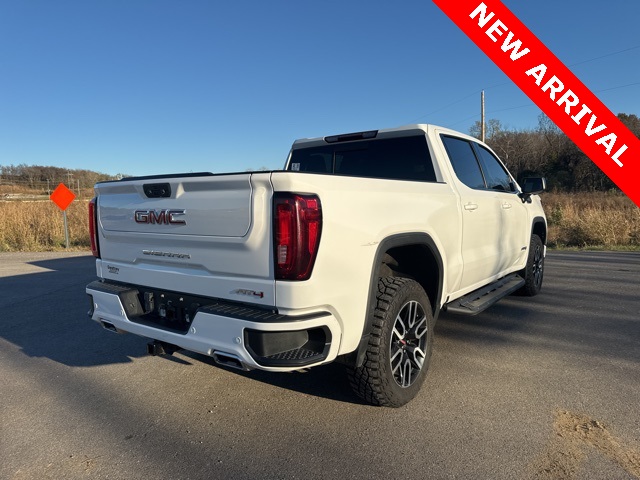 2023 Gmc Sierra 1500 AT4 photo 3