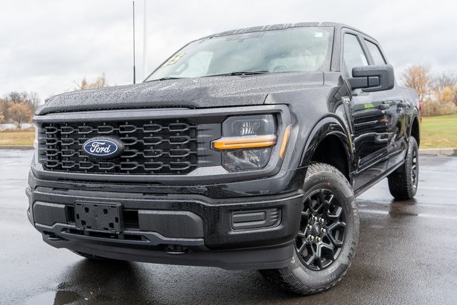 2025 Ford F-150 STX's photo