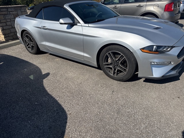 2019 Ford Mustang EcoBoost Premium photo 2
