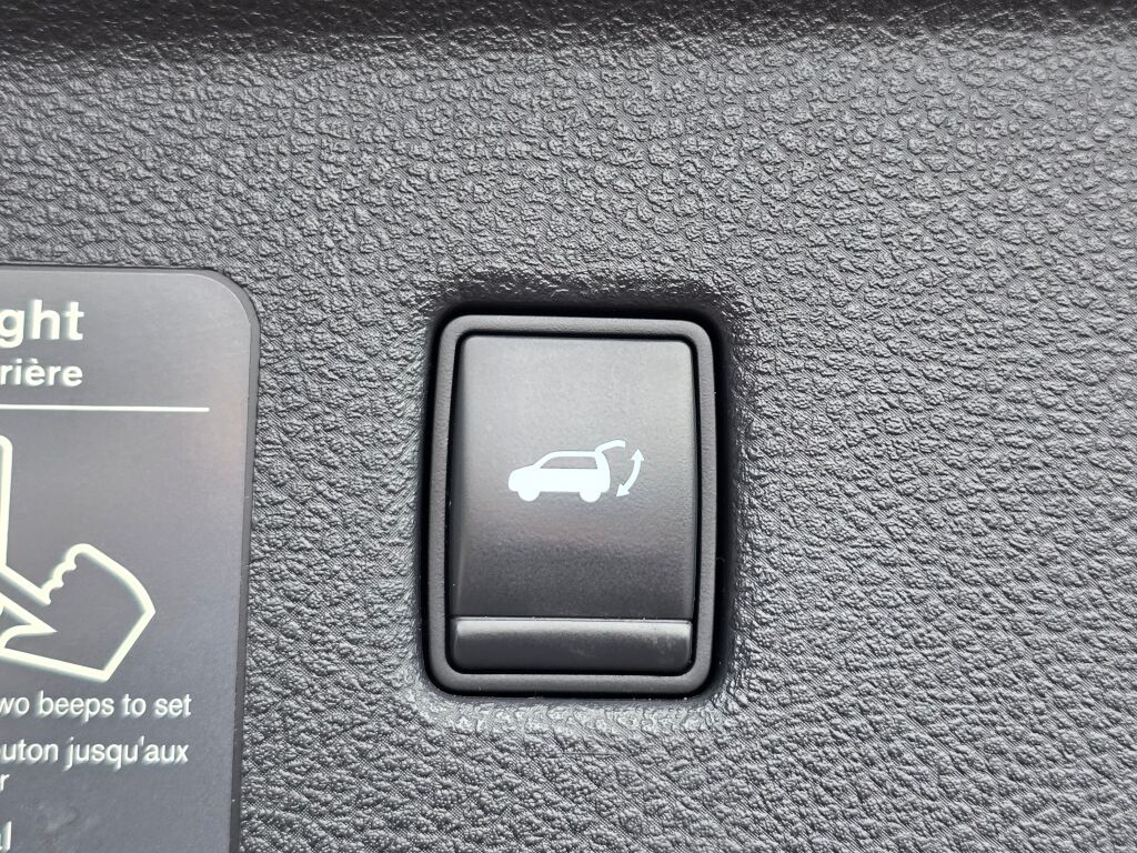 2021 Infiniti QX50 Luxe photo 13