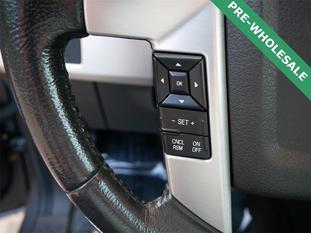2013 Ford F-150 Platinum photo 17