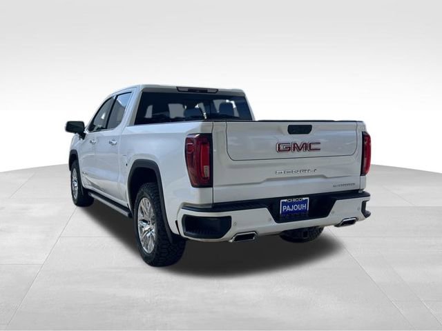 2019 Gmc Sierra 1500 Denali photo 3