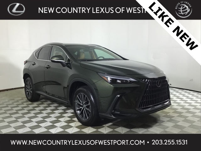 2025 Lexus NX 350's photo