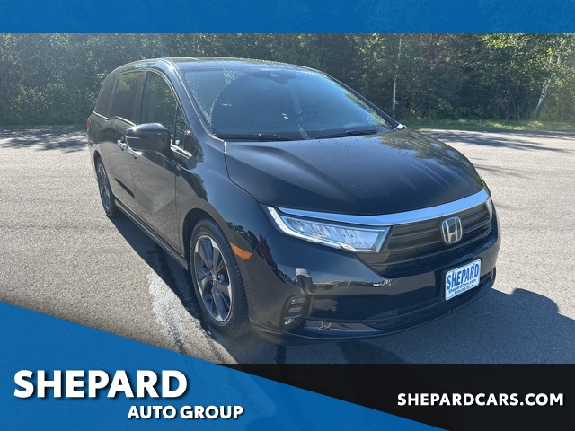 2024 Honda Odyssey Elite's photo