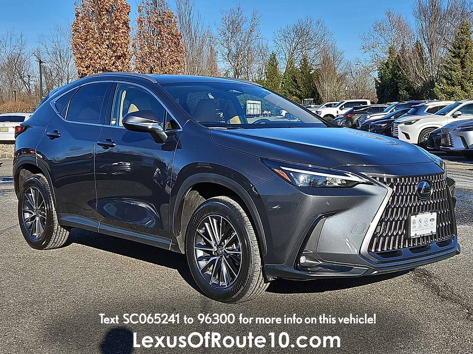 2025 Lexus NX 350's photo