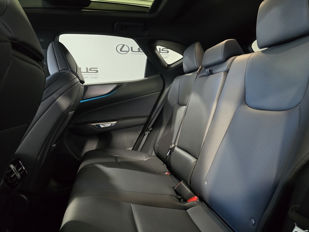 2025 Lexus NX 450h+ F SPORT photo 25