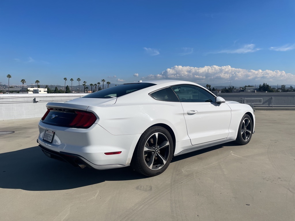 Used 2019 Ford Mustang EcoBoost with VIN 1FA6P8TH7K5135350 for sale in Orange, CA