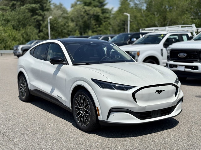 2025 Ford Mustang Mach-E Premium AWD's photo