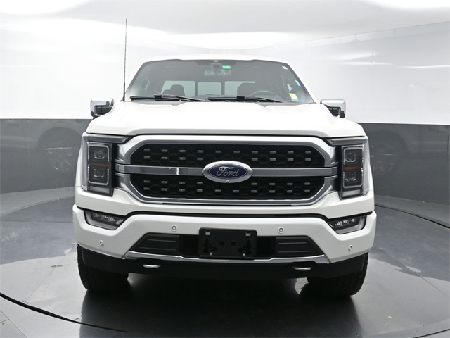 2023 Ford F-150 Platinum photo 2
