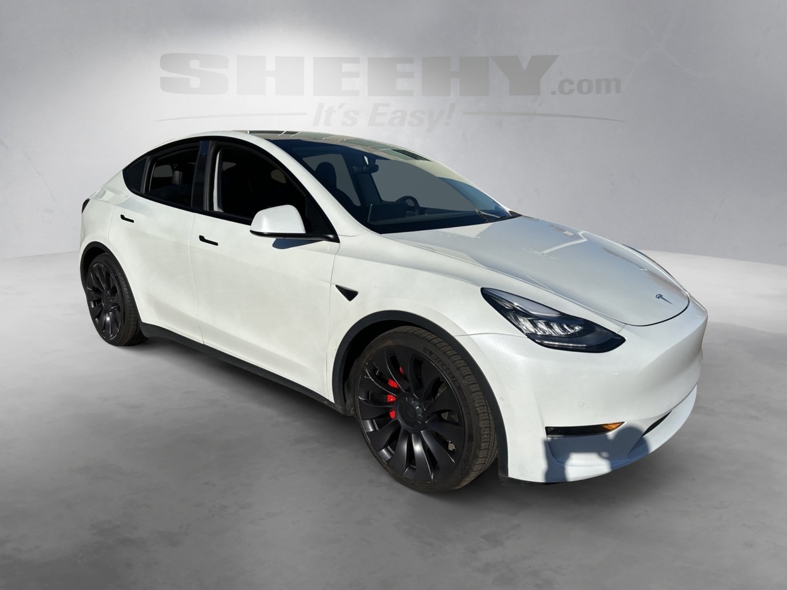 Used 2020 Tesla Model Y Performance with VIN 5YJYGDEF7LF050029 for sale in Northfield, Minnesota