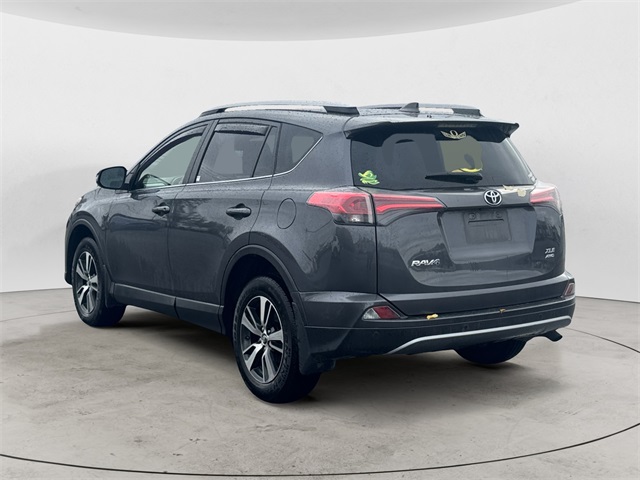 2017 Toyota RAV4 XLE photo 3