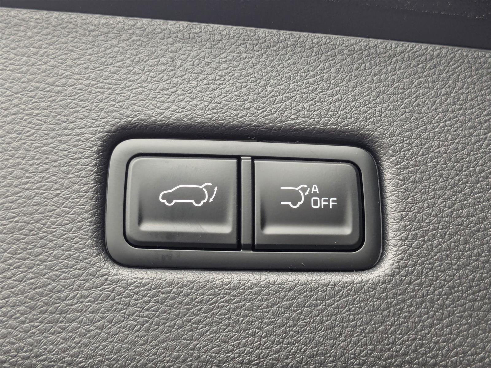2025 Kia Carnival SX photo 32