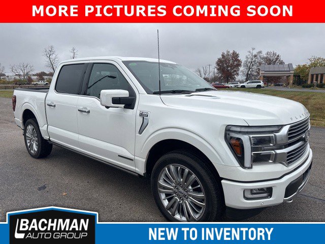 2024 Ford F-150 Platinum's photo